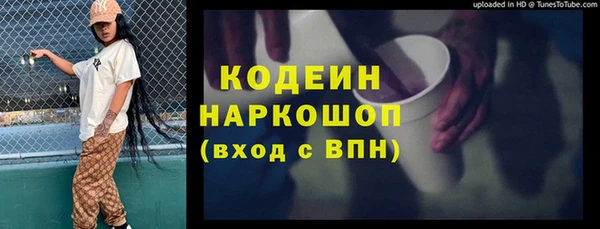 индика Верея