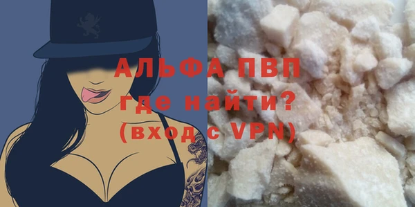 индика Верея
