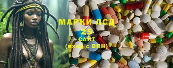 индика Верея