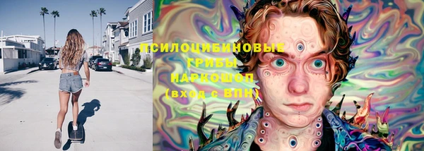 индика Верея