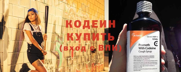 индика Верея